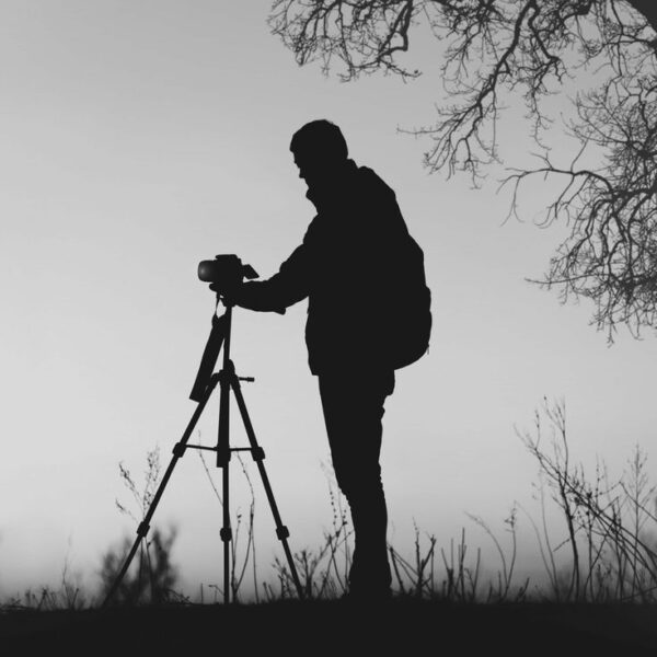 Common filming tours in Tanzania