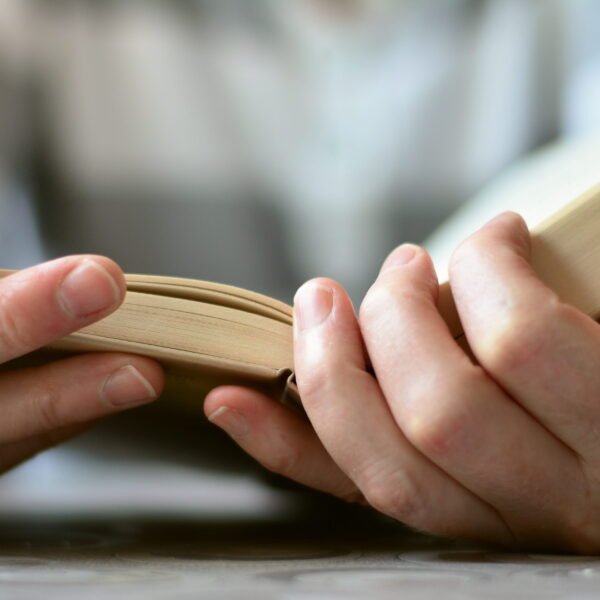 Things to consider before you go for a safari in Tanzania