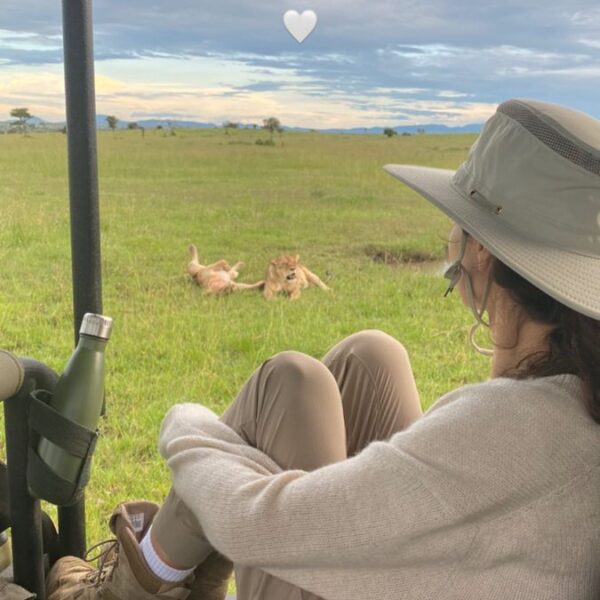 Africa Safari Tours