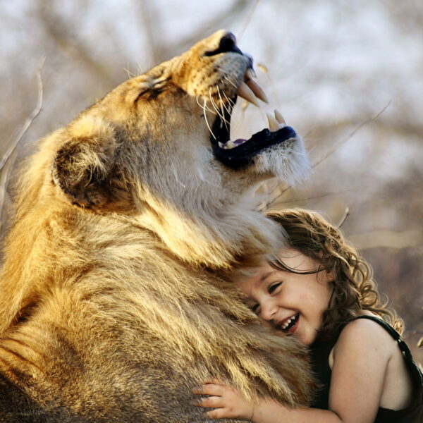 Tips on maximizing your safari while you are with children in Tanzania