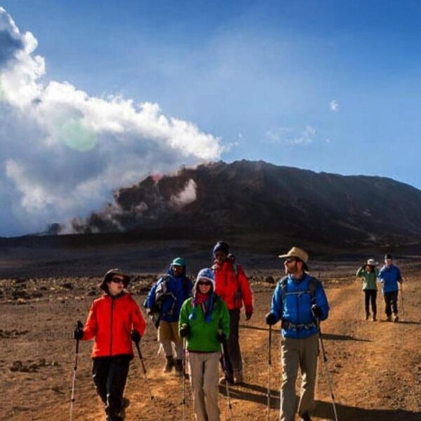 Kilimanjaro